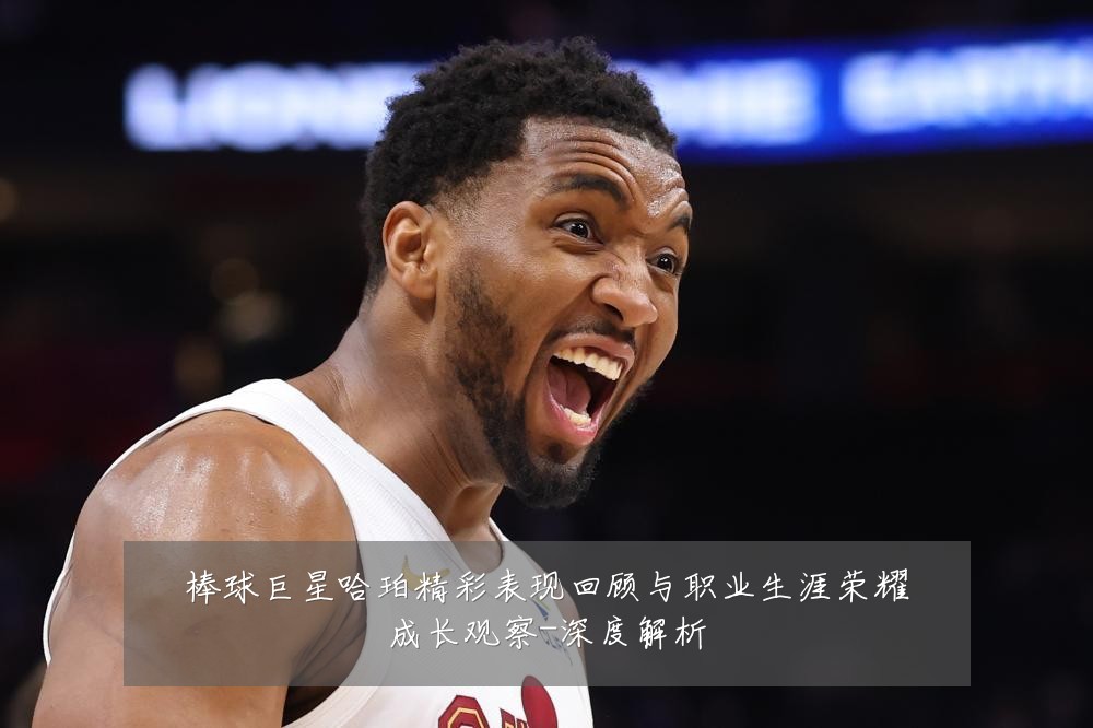 棒球巨星哈珀精彩表现回顾与职业生涯荣耀成长观察-深度解析