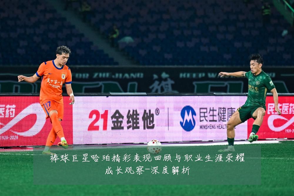 棒球巨星哈珀精彩表现回顾与职业生涯荣耀成长观察-深度解析